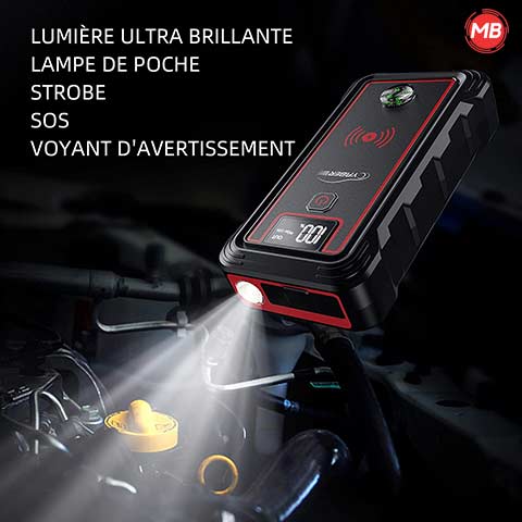 Booster Batterie Professionnel 2500A | Intelligent 12V